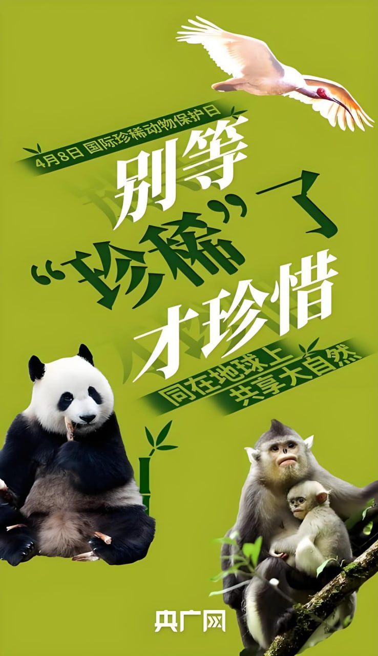喜剧电影推荐